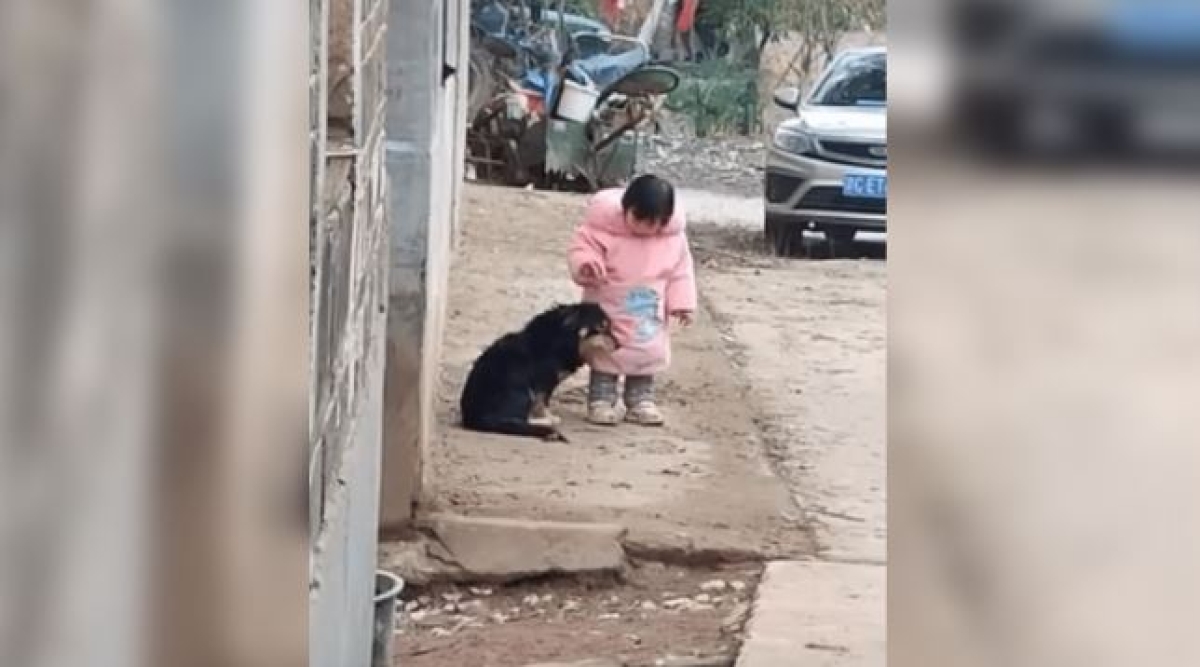 ¡Ternurita! Esta pequeña le tapa las orejas a su lomito por los fuegos artificiales