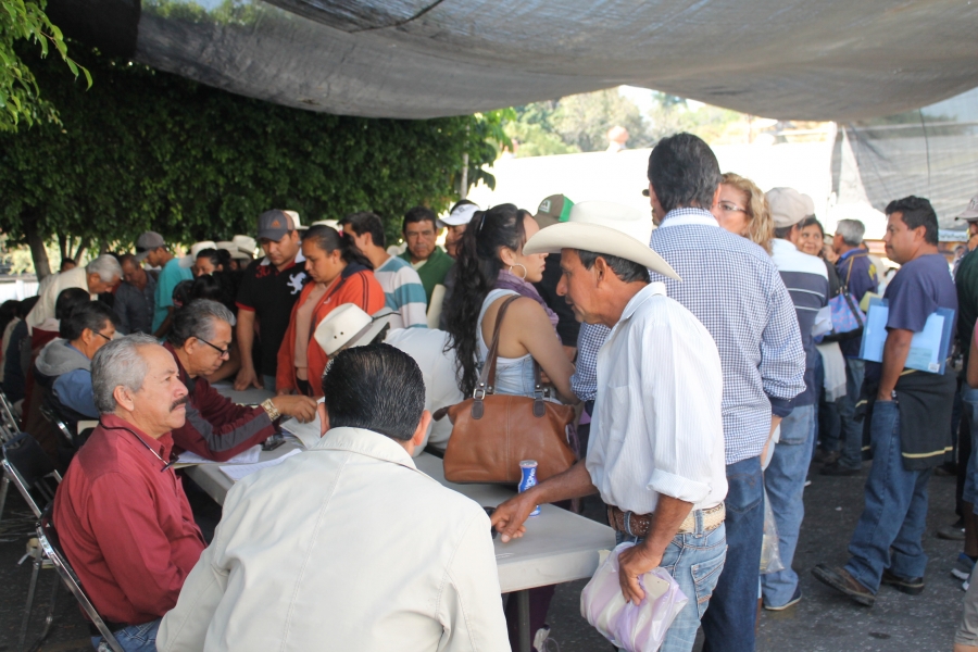 Aseguradoras sólo pagaron 60% de cultivos dañados