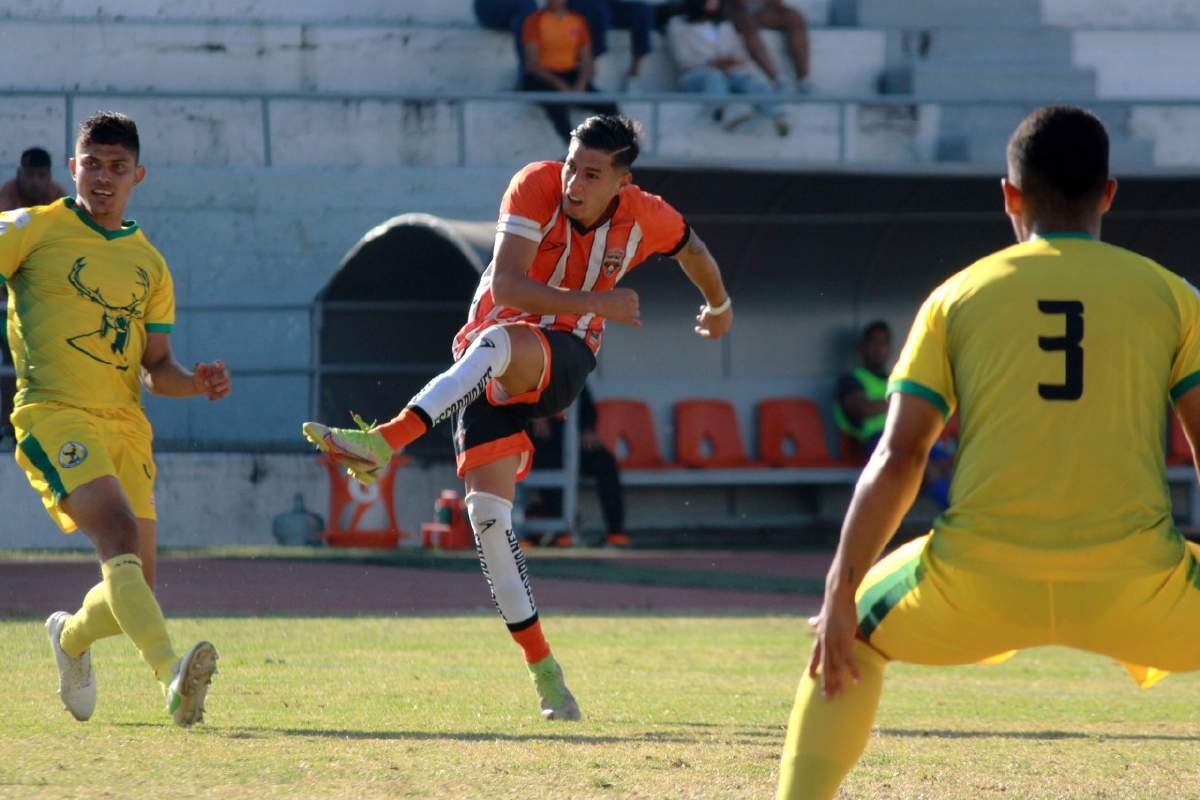 Escorpiones buscan recuperar el buen paso
