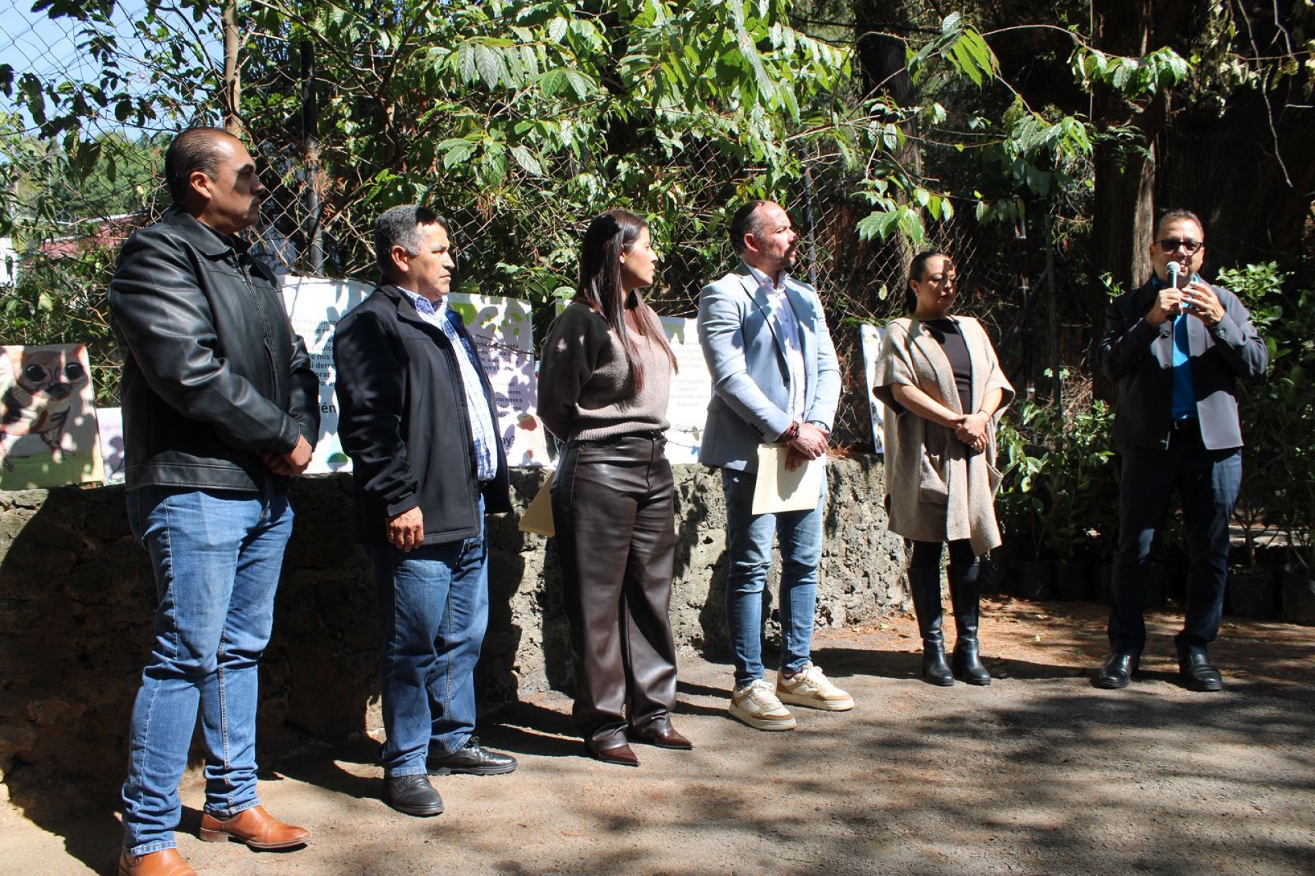 Cuernavaca declara a cinco ahuehuetes de Chalchihuapan como árboles notables de la ciudad