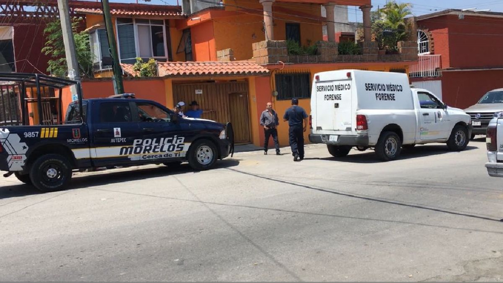 Murió al caer de una escalera cuando podaba un árbol