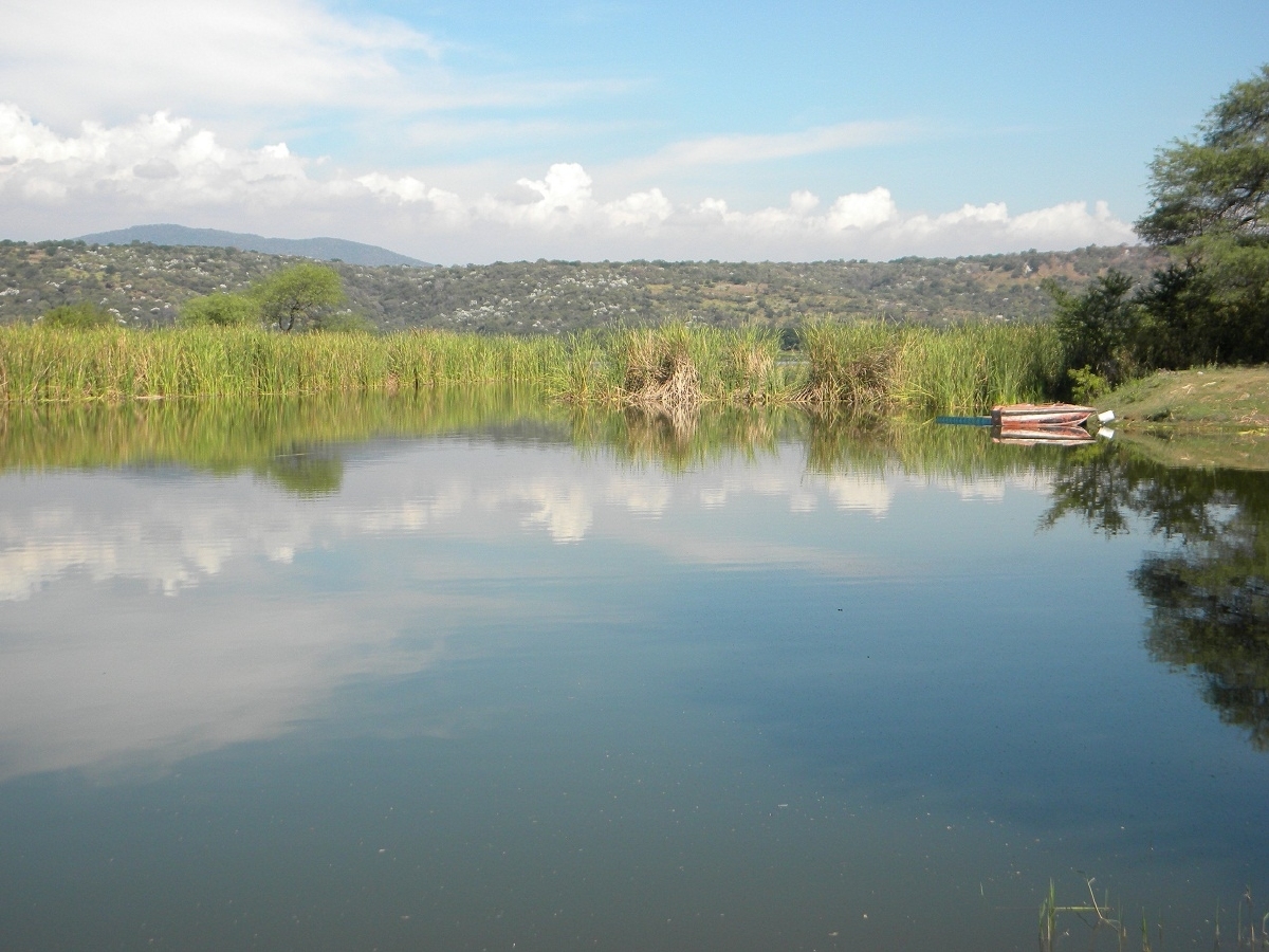 El 50% de los pescadores de las lagunas de Coatetelco y El Rodeo no cuentan con permisos de pesca