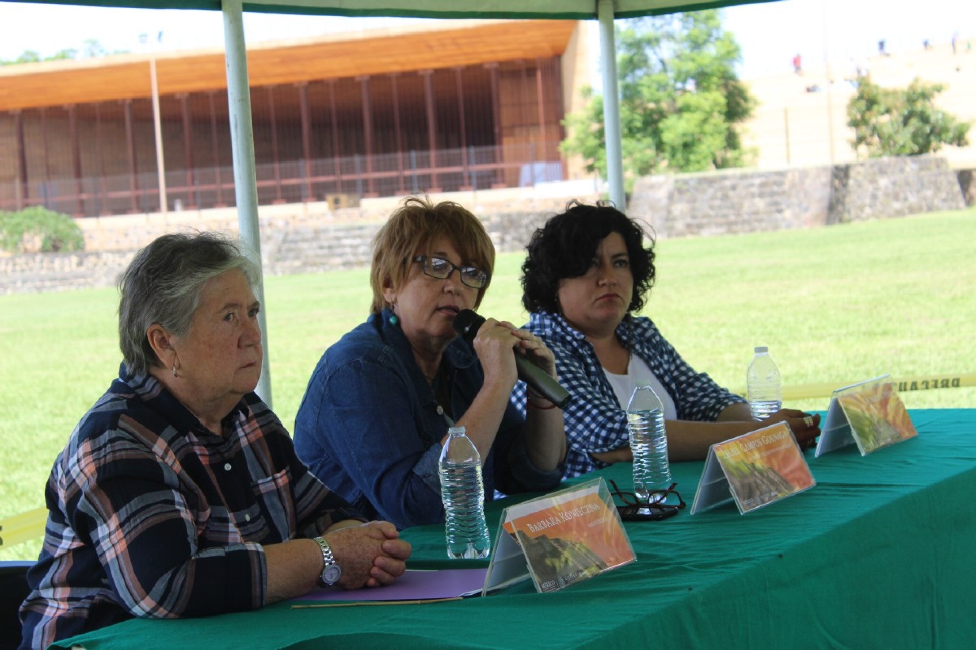 Cambio de sexenio no afectará labores del INAH: Campos Goenaga