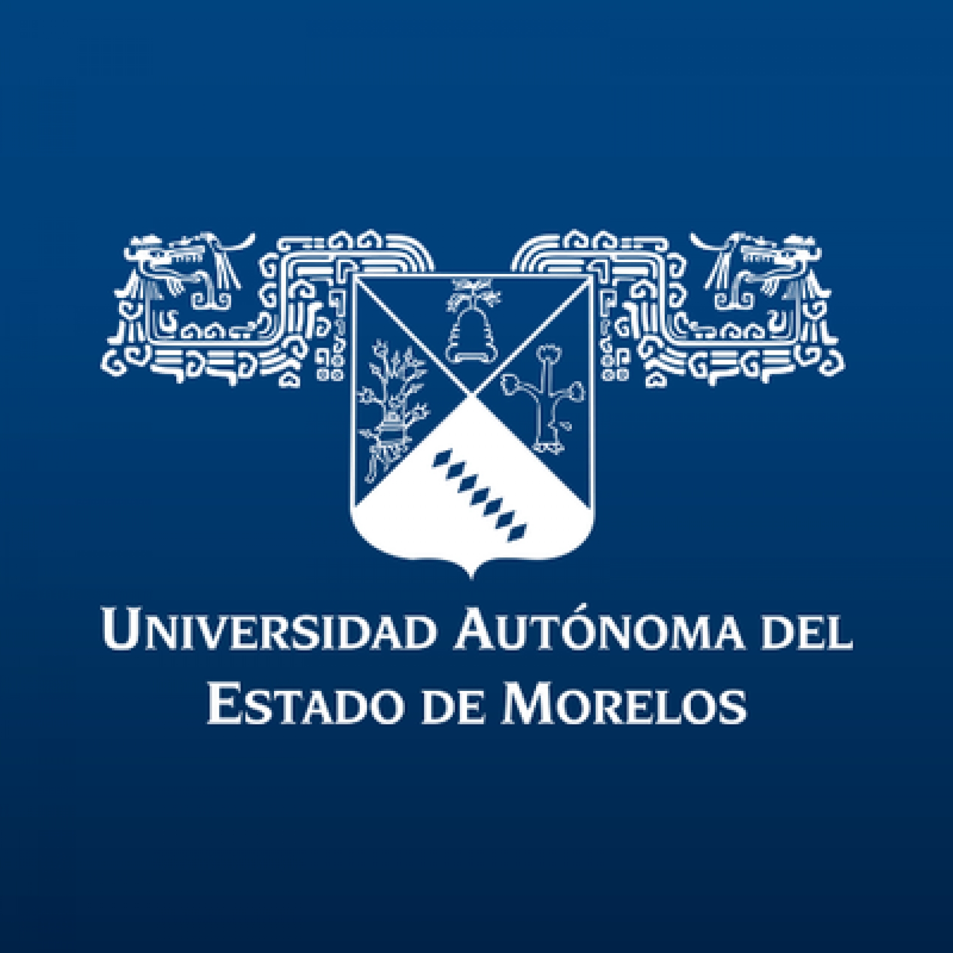 UAEM, con experiencia en exámenes profesionales virtuales