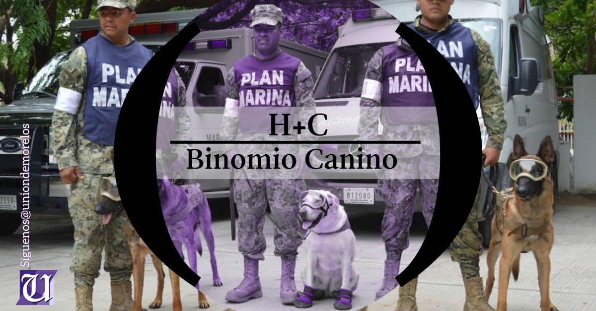 ¿Qué es un binomio canino y cómo son entrenados?