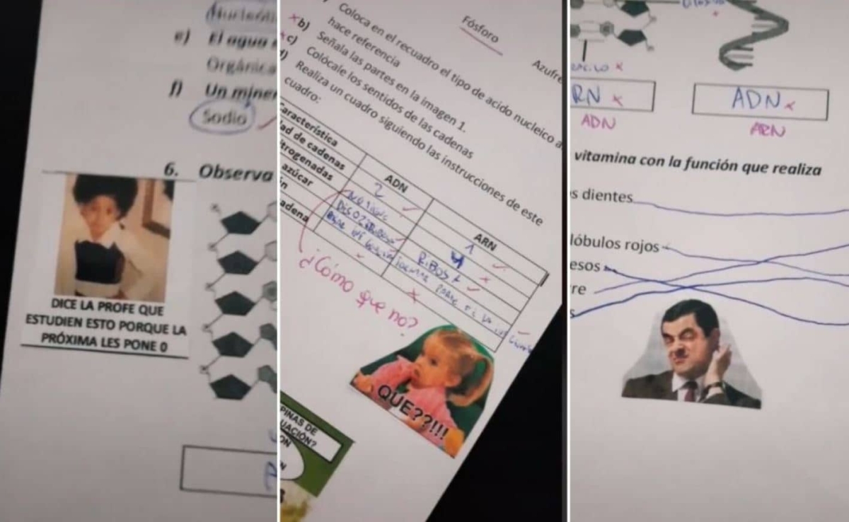 Maestra califica exámenes con memes