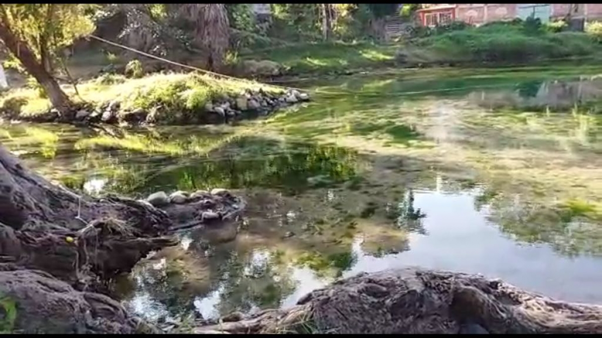 Afectada, la piscicultura en Apatlaco por contaminación de manantiales