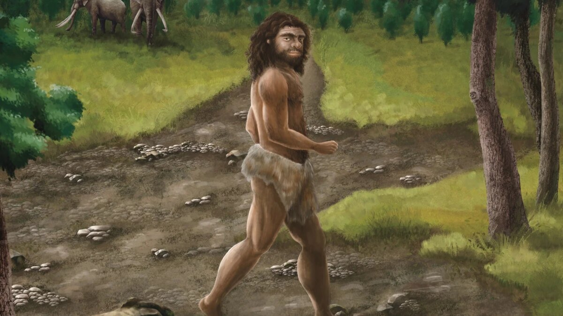 Encuentran en Taiwán fósil de denisovano, ancestro humano