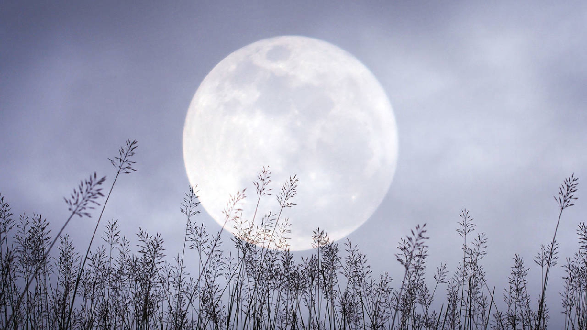 La Luna de Nieve iluminará el cielo en febrero de 2025