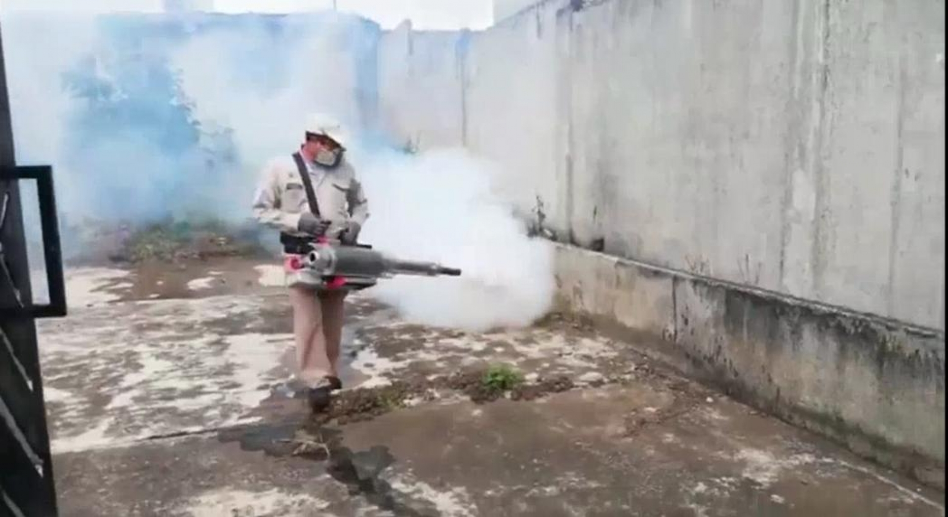 Informa Salud federal que suman diez defunciones por dengue en Morelos