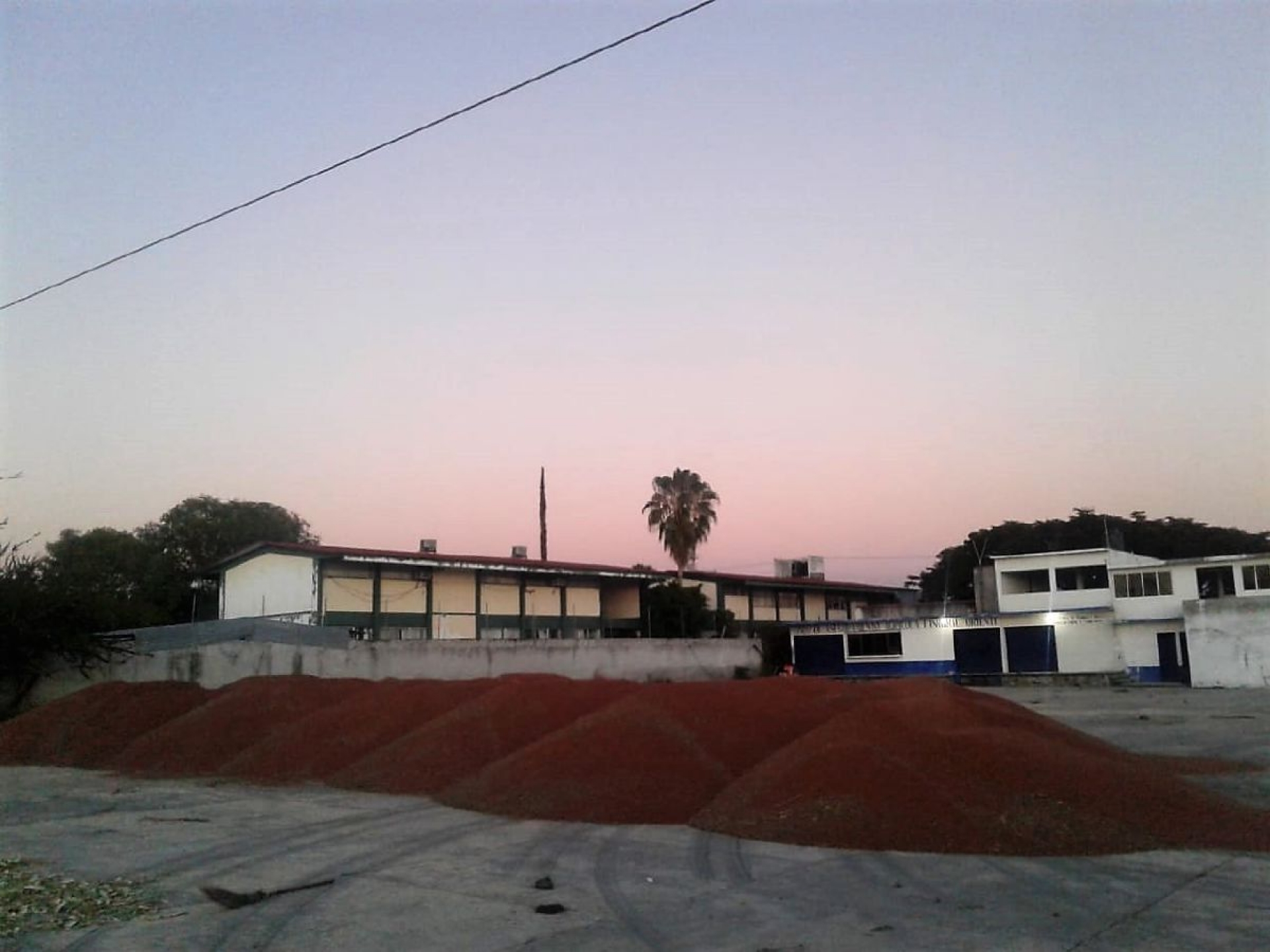 Dará Sedagro impulso comercial a granos básicos