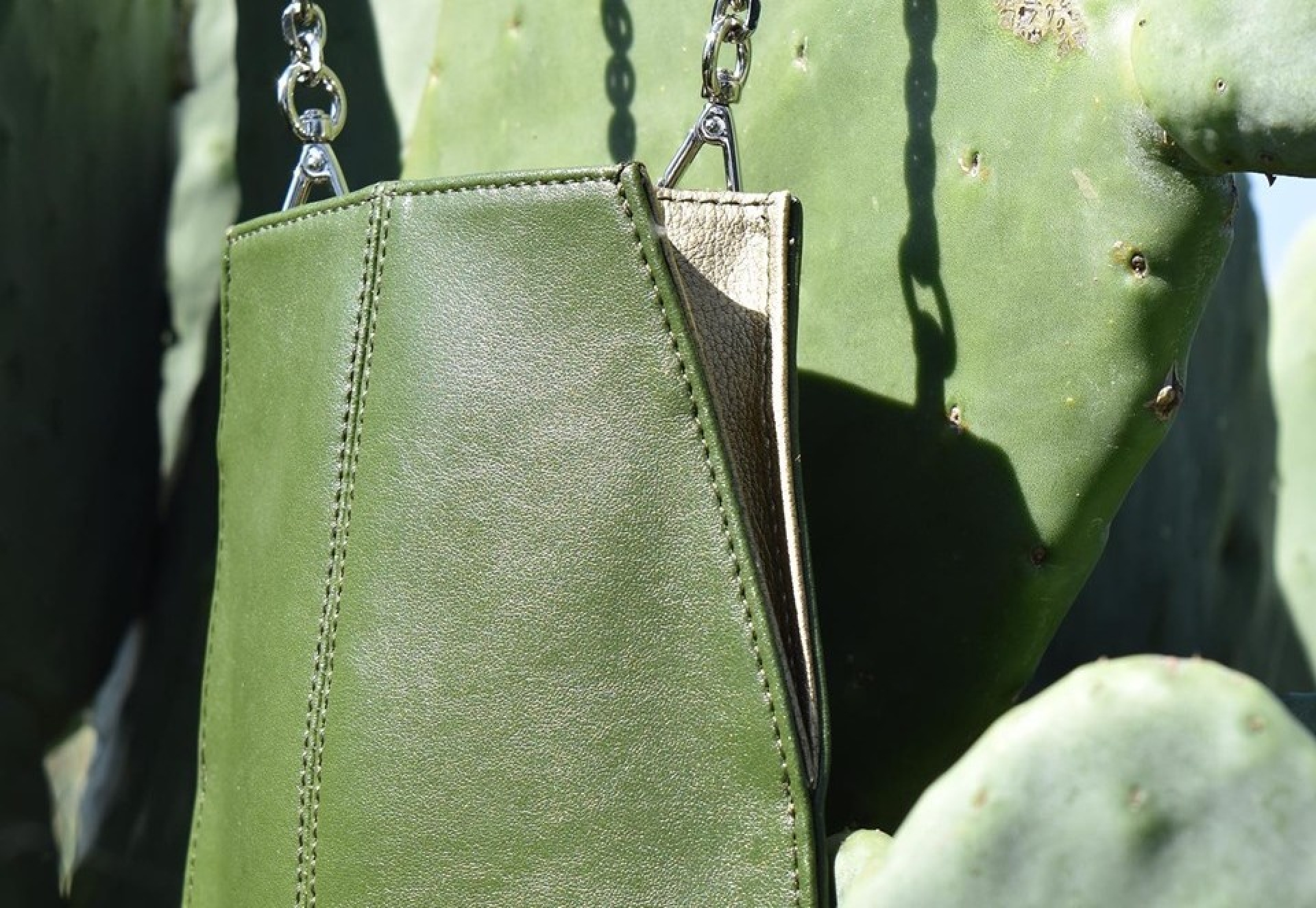 Mexicanos inventan piel vegana de nopal