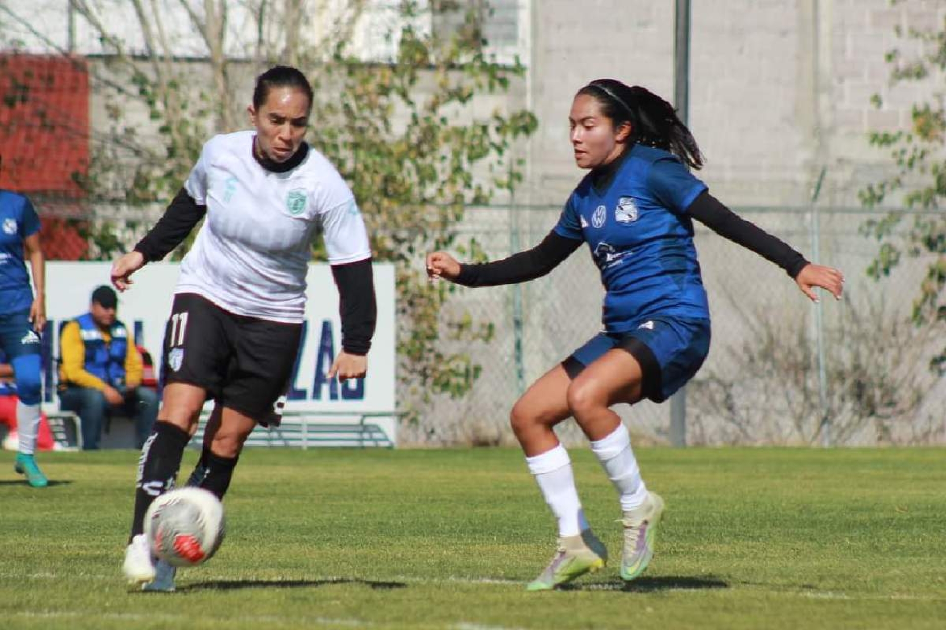 Con bríos renovados