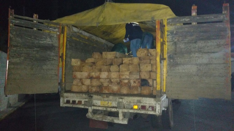 Localizan un camión cargado de madera ilegal