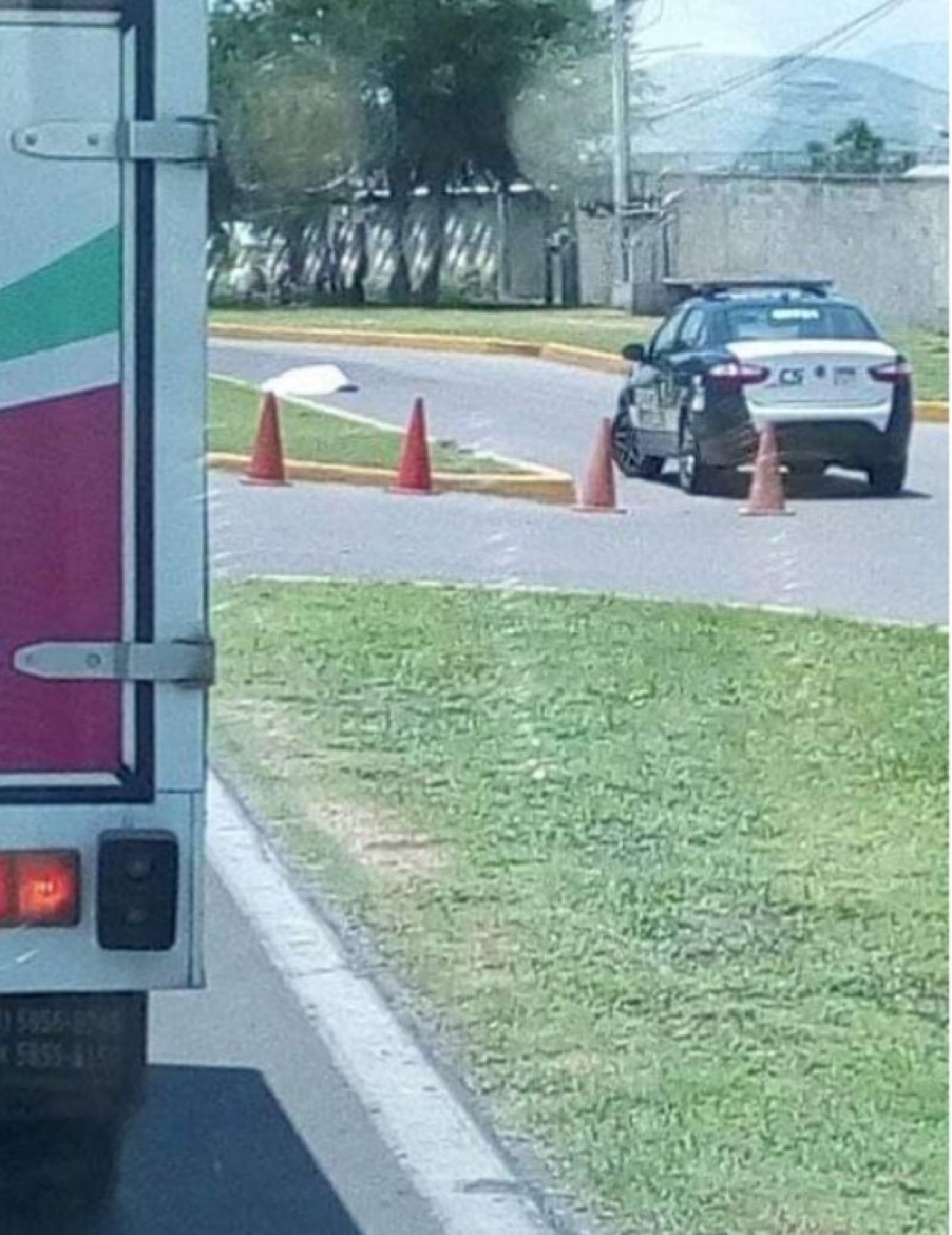 Muere atropellada una custodia de la cárcel de Jonacatepec