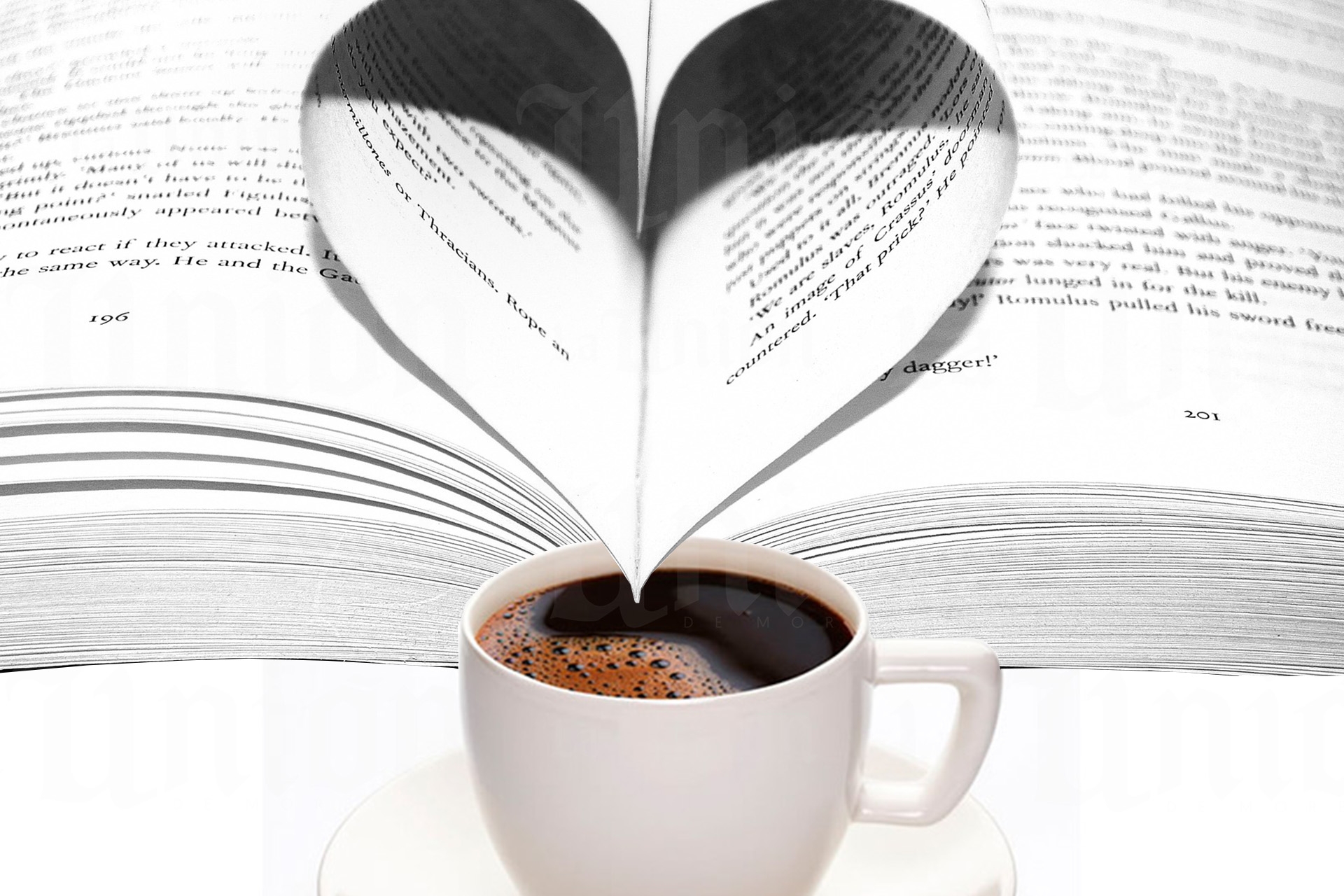 El escritor y el café