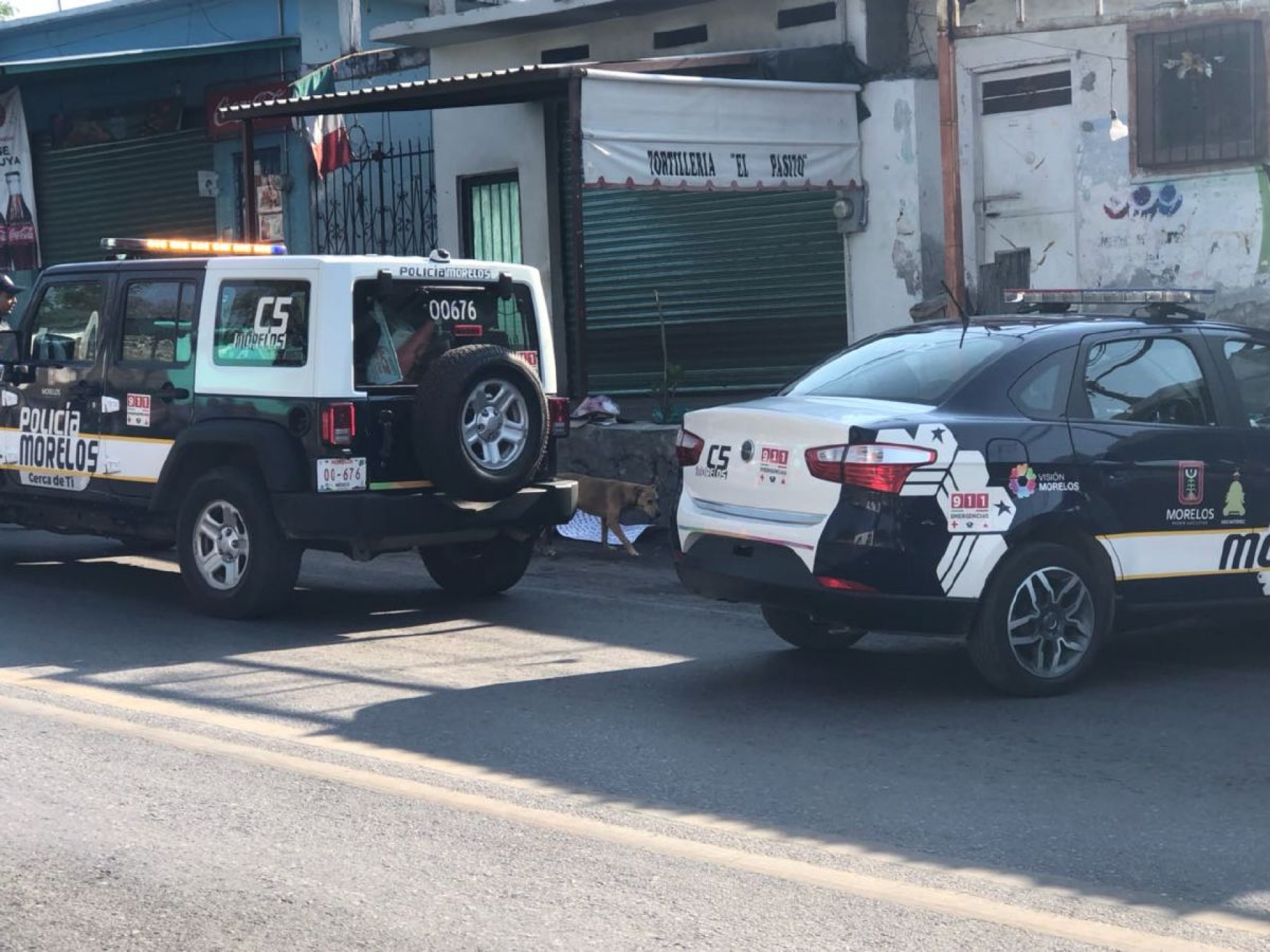 Encuentran a un hombre desmembrado en Alpuyeca