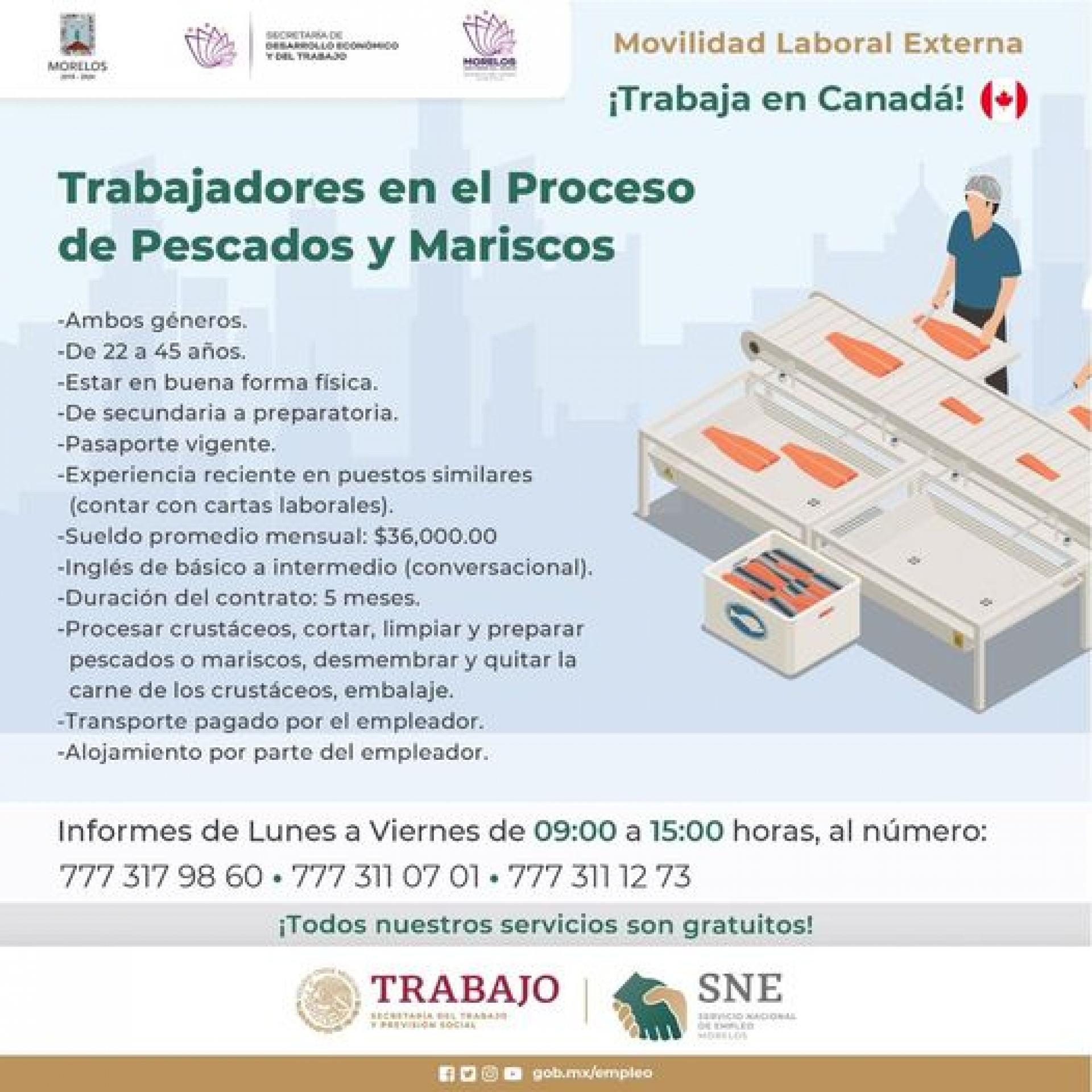 Informa SNE sobre oferta de 29 plazas de trabajo en el sector pesquero en Canadá