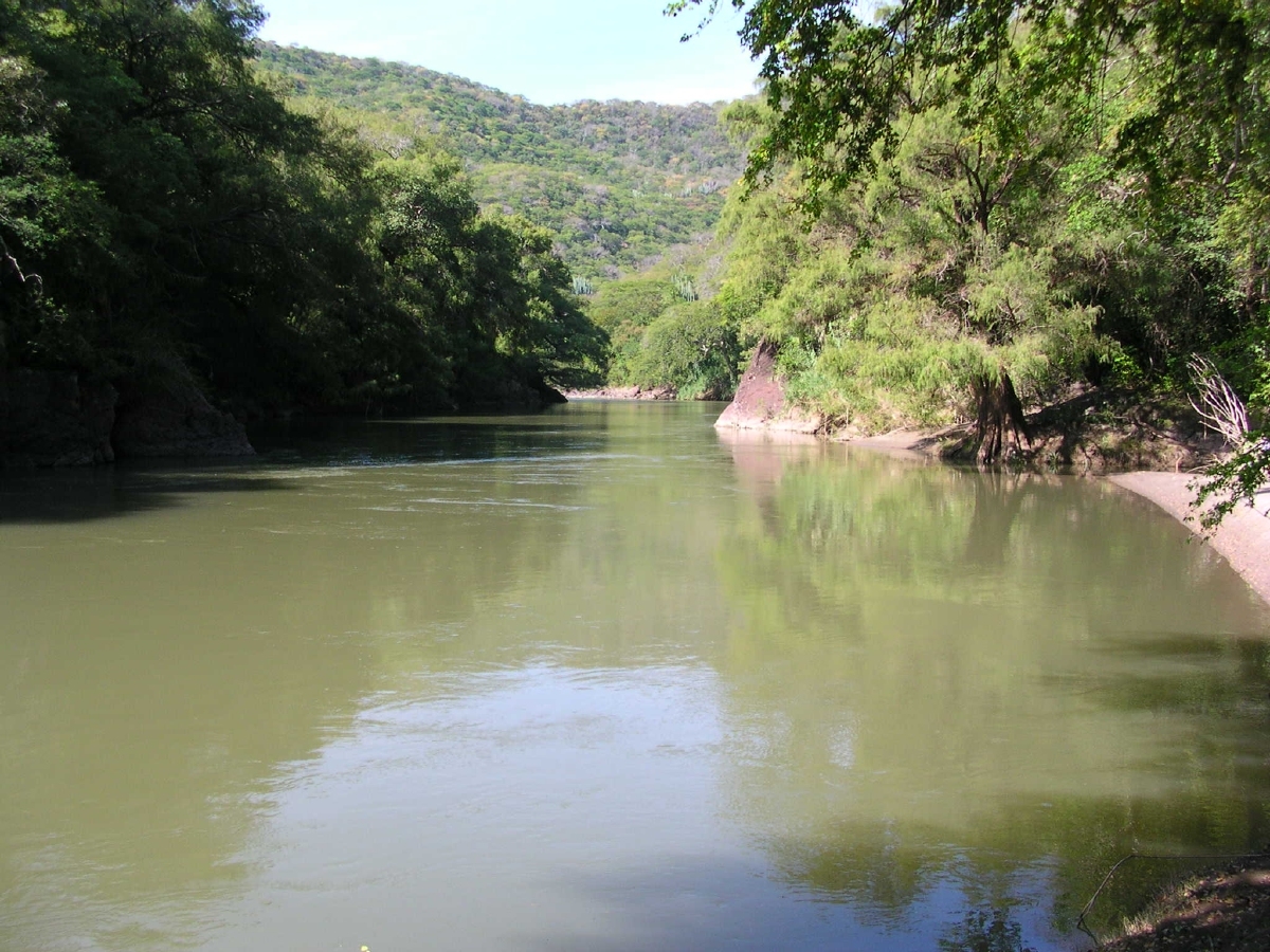 Investigadores del CIB evalúan calidad de agua dulce en el estado