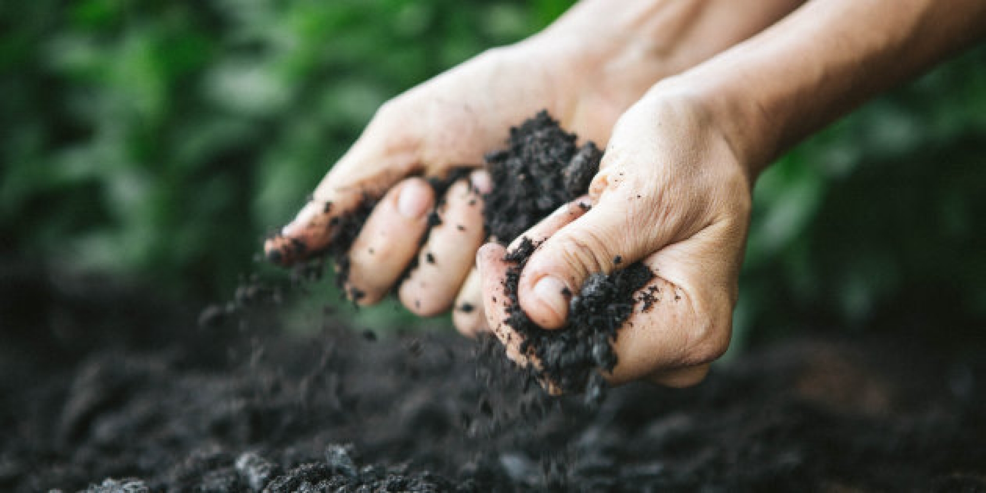 ¿Sabes qué es la agroecología?