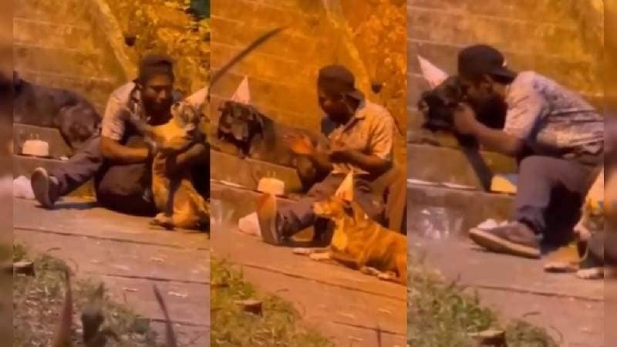 Hombre en situación de calle celebra cumpleaños de sus perritos