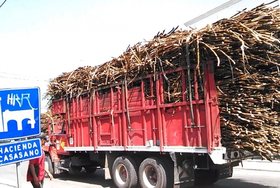 Buscan cañeros romper con monopolio impuesto por nuevos dueños de los ingenios