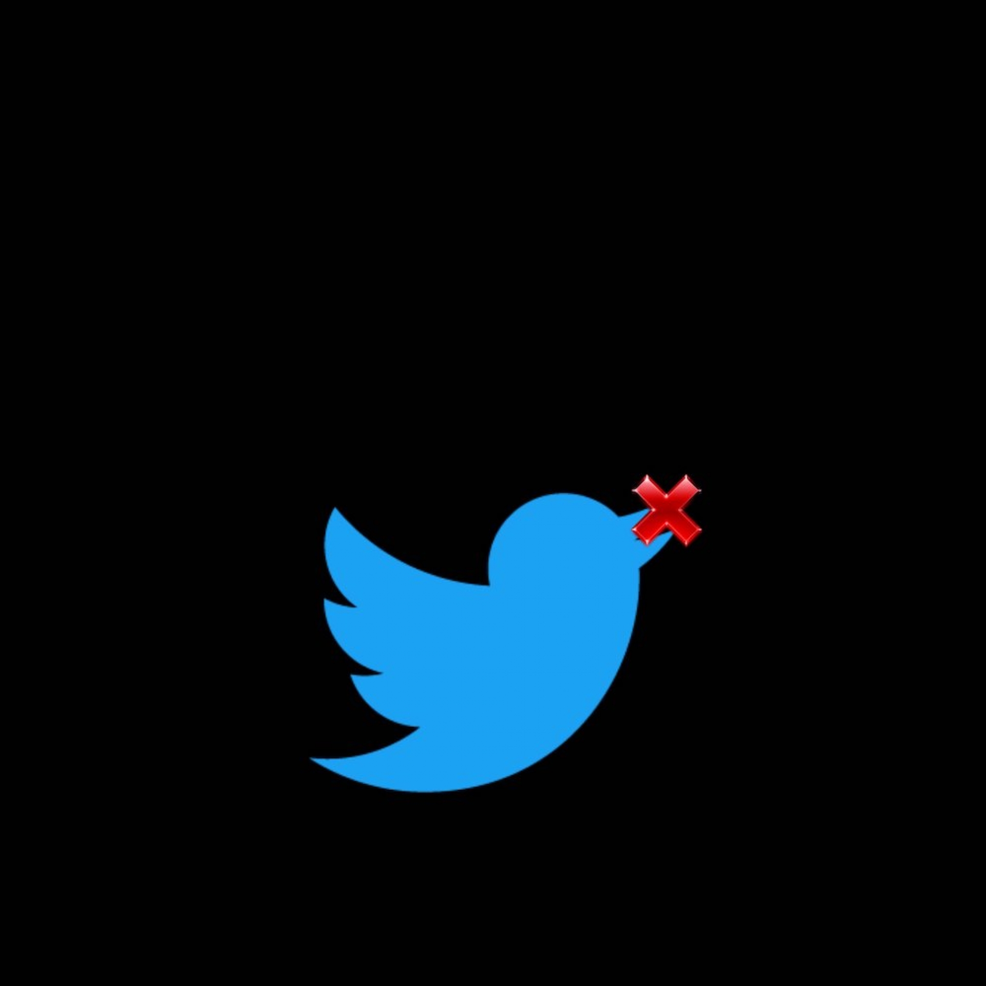 Twitter México bloquea cuentas, entre ellas algunas afines a la 4T, por incumplir con términos
