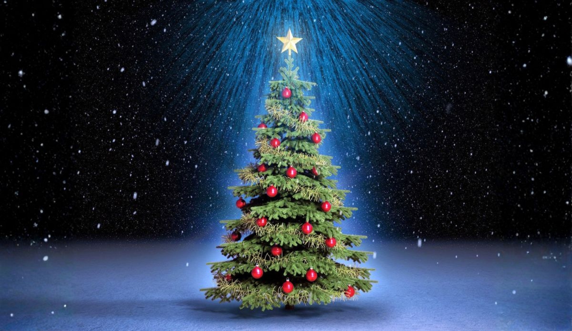 Cómo elegir el árbol navideño ideal según expertos de la UNAM