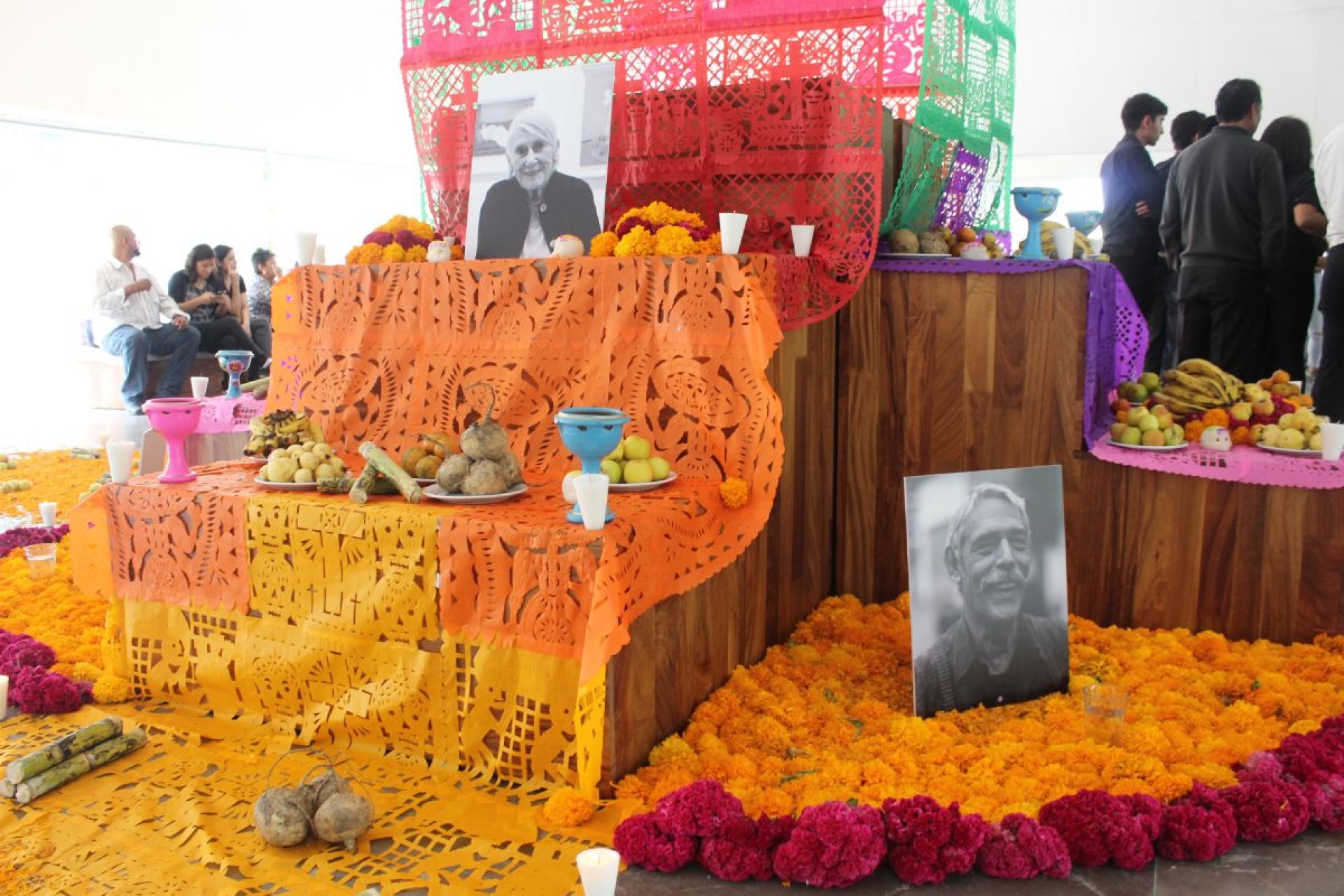 Tradición por kilo