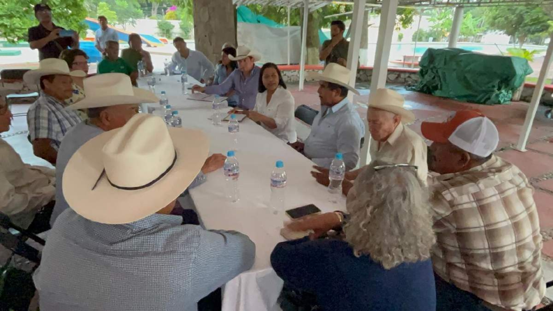 Buscan rescatar cultivo de arroz en la región oriente