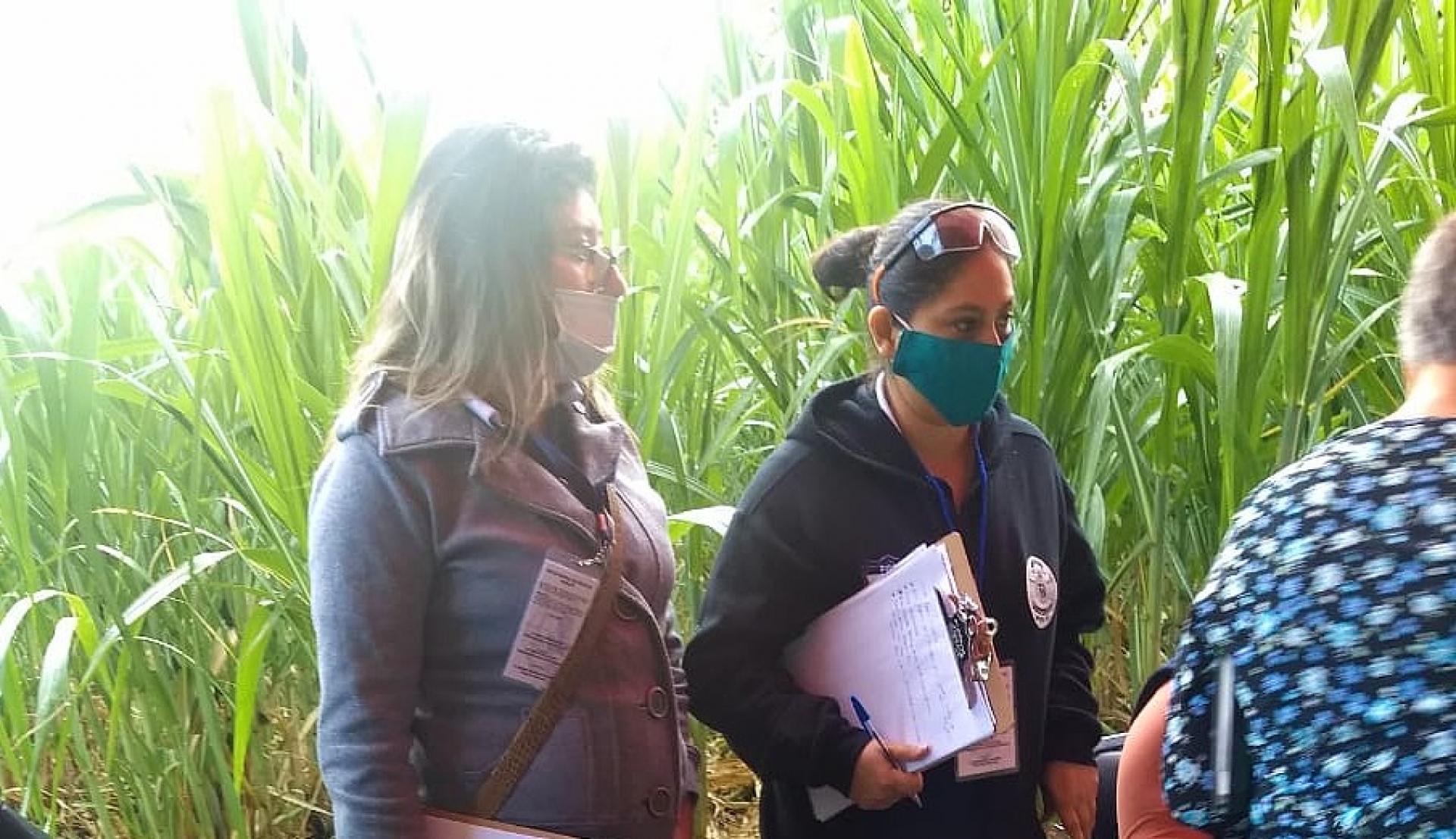 Inicia OIC de FGE investigación tras hallazgo de restos óseos en predio de Puente de Ixtla
