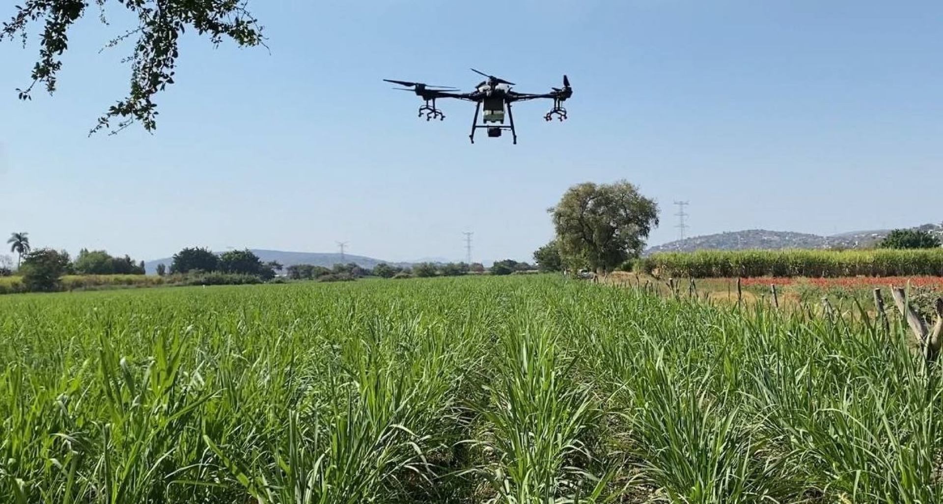 Cuautla mantiene innovación tecnológica en campo del municipio