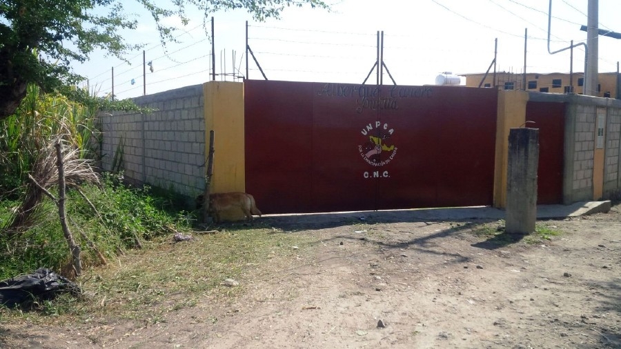 Arriban a Morelos más de cinco mil jornaleros para el corte de caña