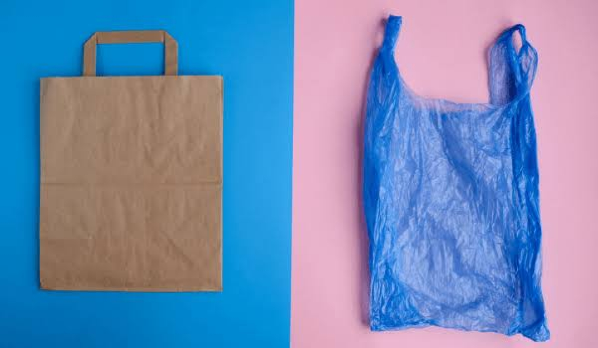 Adiós, bolsas de plástico; tienes estas opciones para sustituirlas