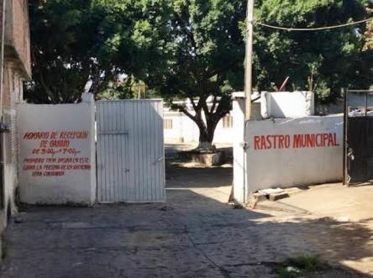 El rastro municipal de Puente de Ixtla aún incumple medidas sanitarias