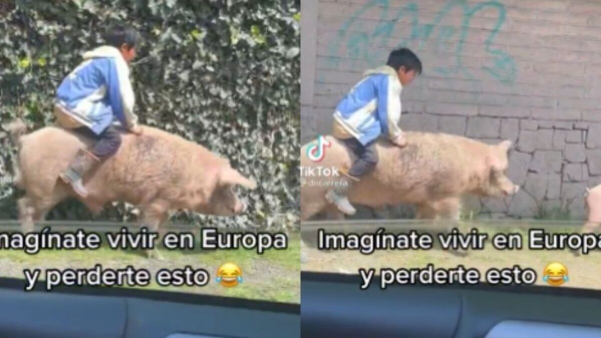 "Puercomóvil":Captan a niño montado sobre un cerdo a toda velocidad
