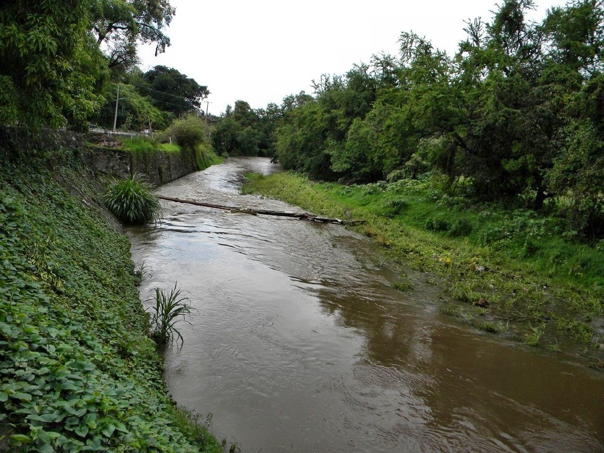 Reconocen afectaciones en cultivos de la zona poniente por disminución del cauce del río Chalma