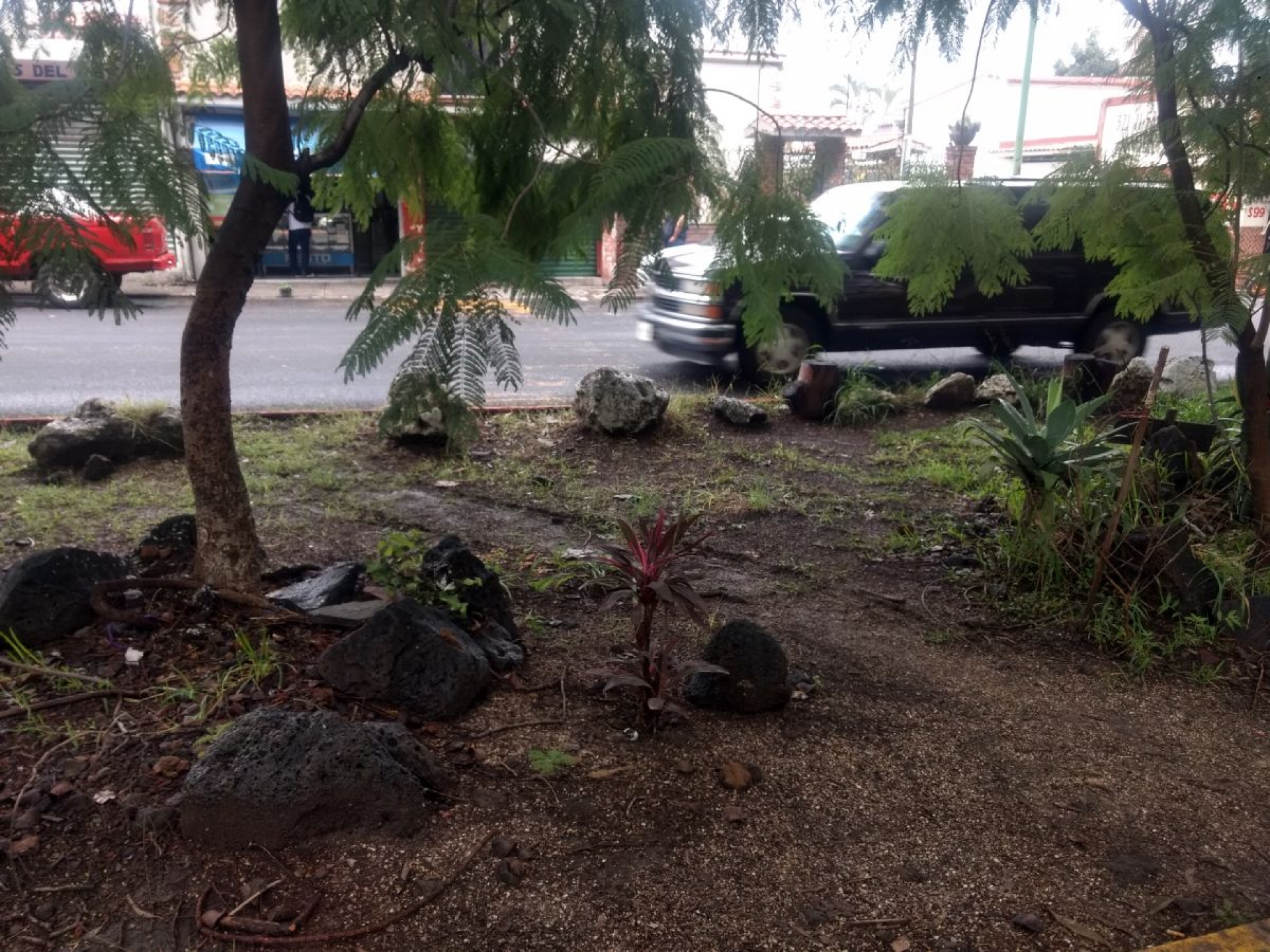 Balean a presunto robacoches en Civac