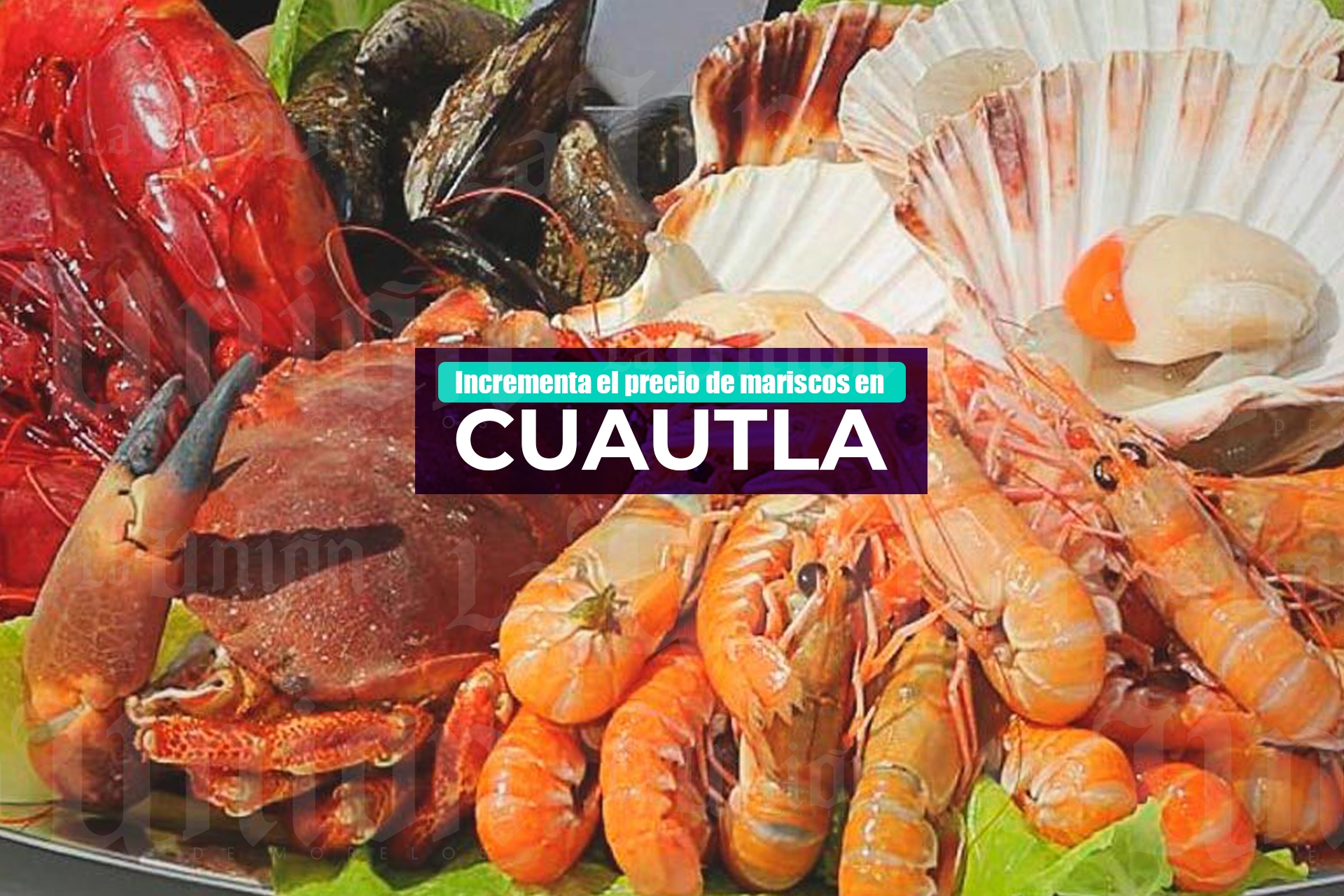 Comerciantes de Cuautla reportan incremento en precio de mariscos