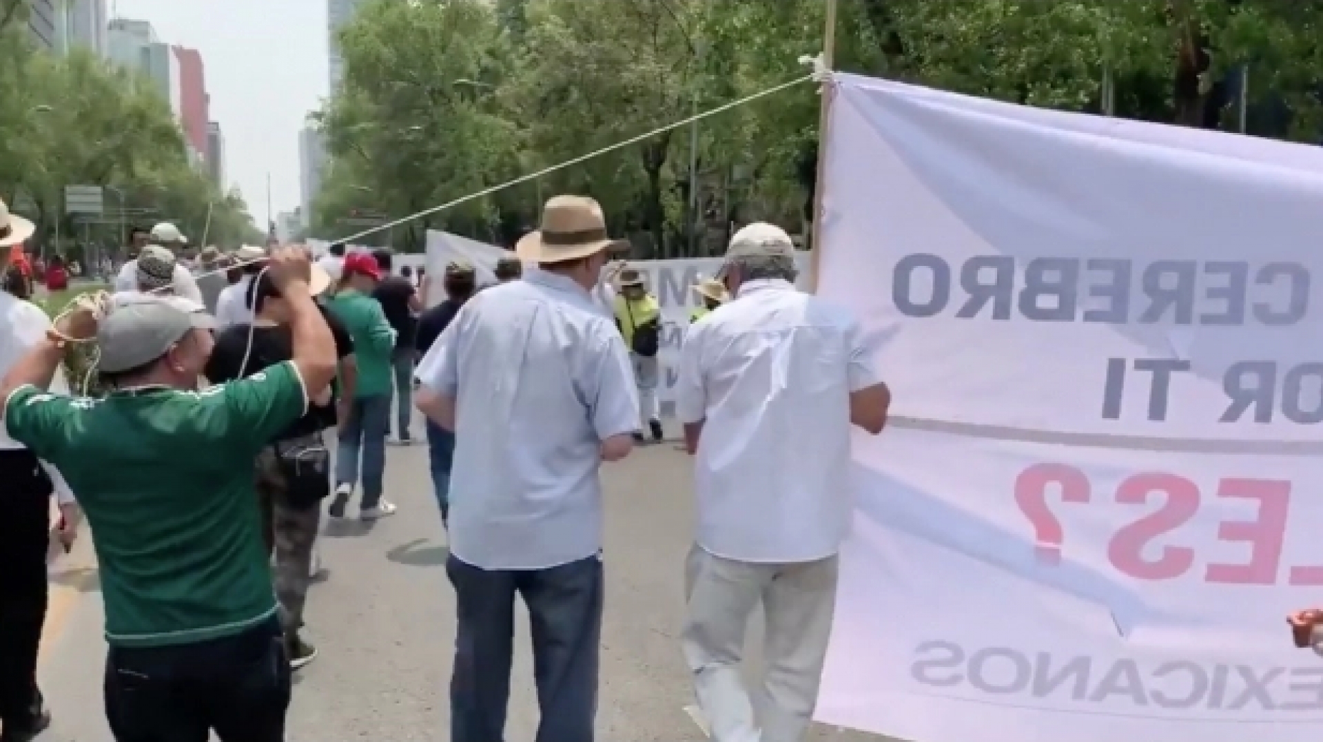 Asistentes a "marcha fifi" usaron a sus empleados para cargar las mantas