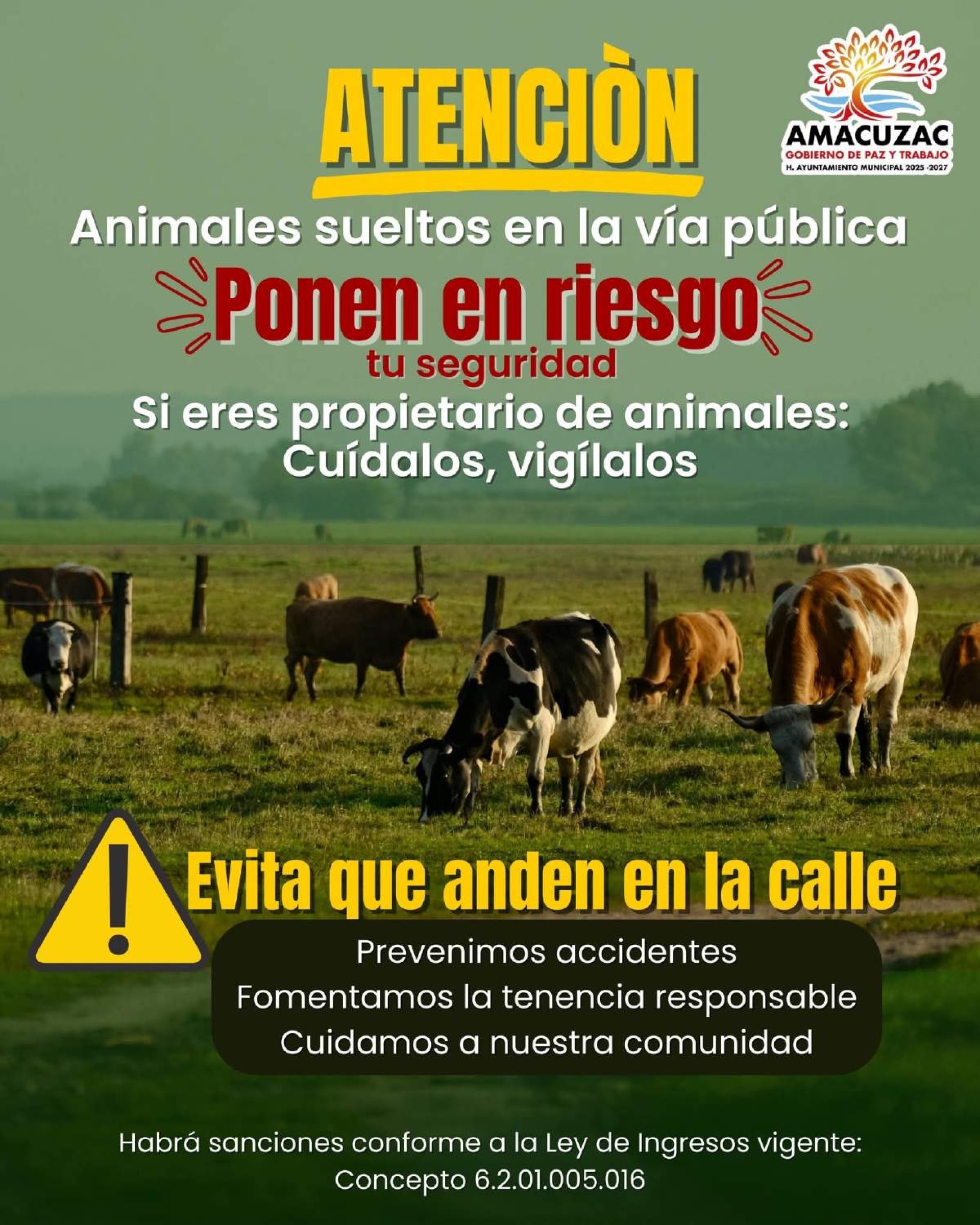 Amacuzac aplicará sanciones por animales sueltos en la vía pública
