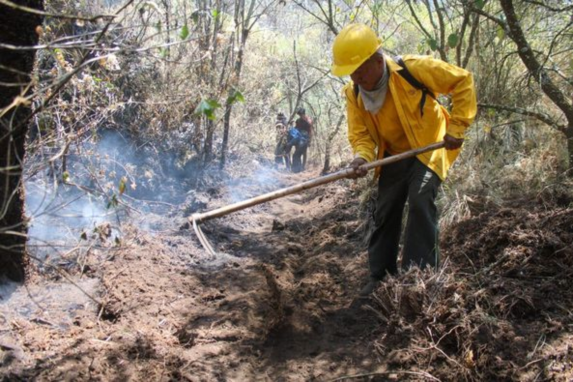 90% de control y 60% de liquidación en incendio forestal 'Lechuguillas'