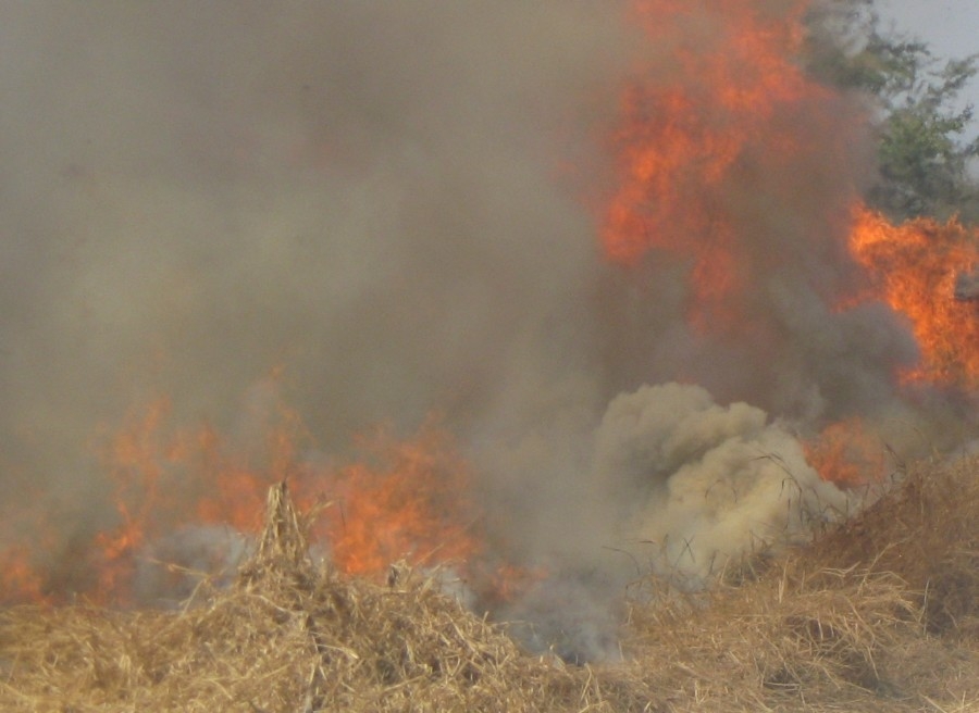 En menos de una semana se registraron 15 incendios en Cuautla