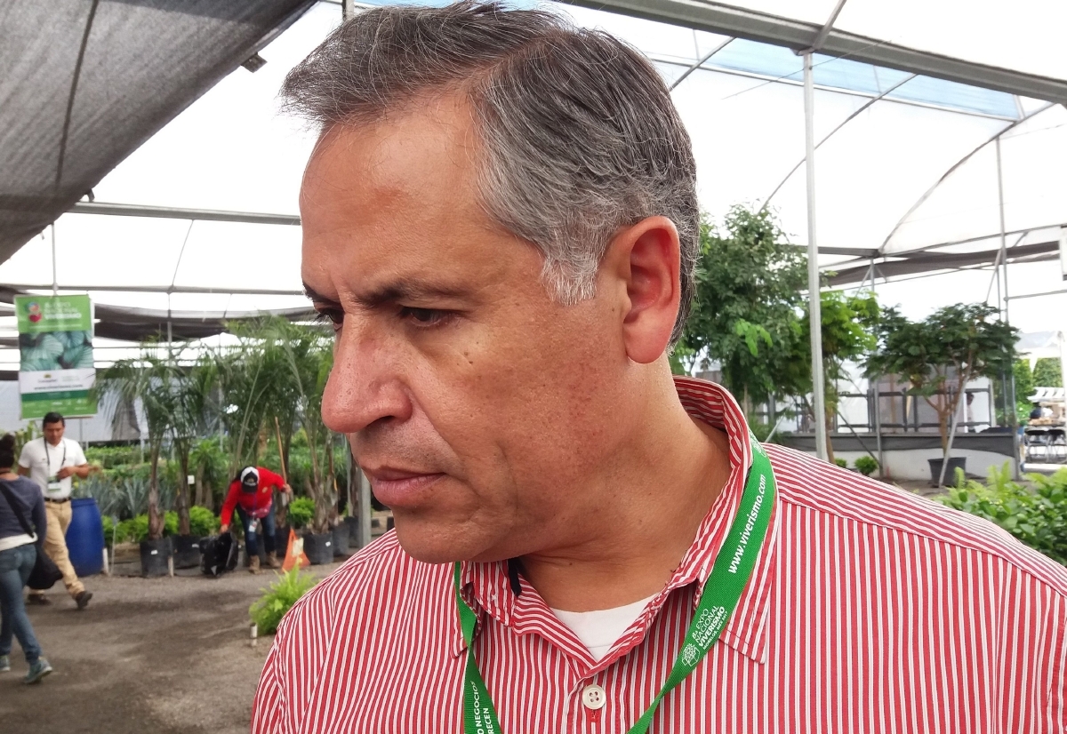 Aumentó la superficie cultivada de maíz en la entidad: Sedagro