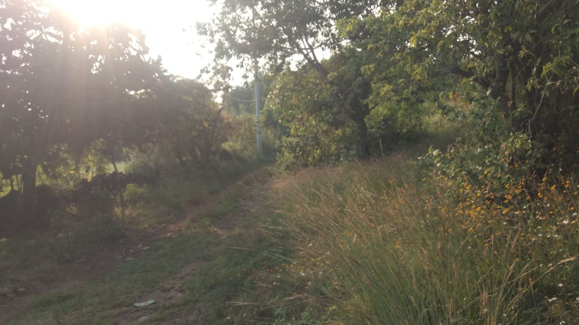 Un ganadero fue asesinado de un balazo en la cabeza, en un paraje de Temixco