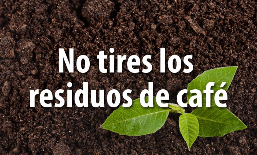 No tires los residuos del café, te pueden ser útiles