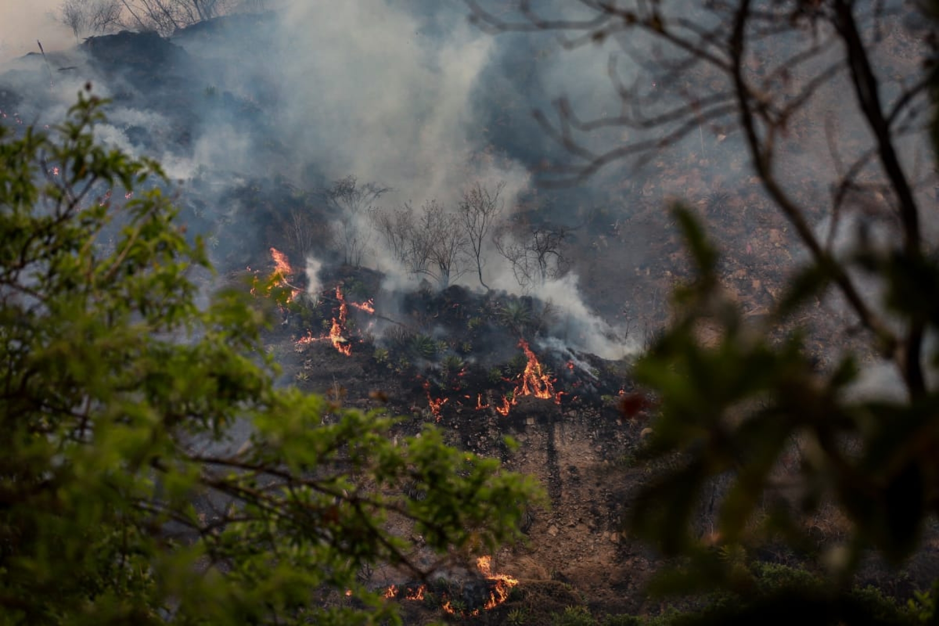 Exhorta CEPCM a tomar medidas preventivas por incendio en municipio de Tepoztlán