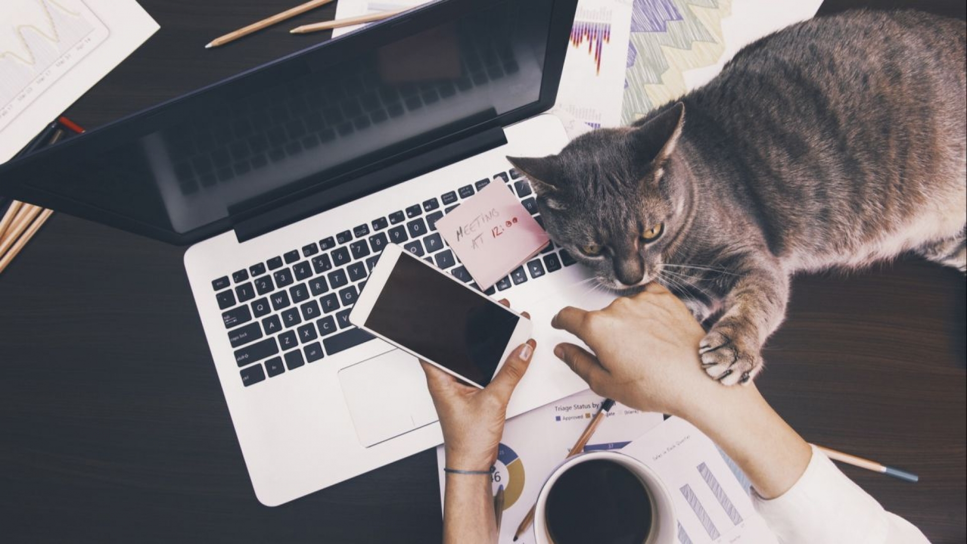 ¿Estás trabajando en casa por el COVID-19? Te damos tips para que no te sientas 'raro'