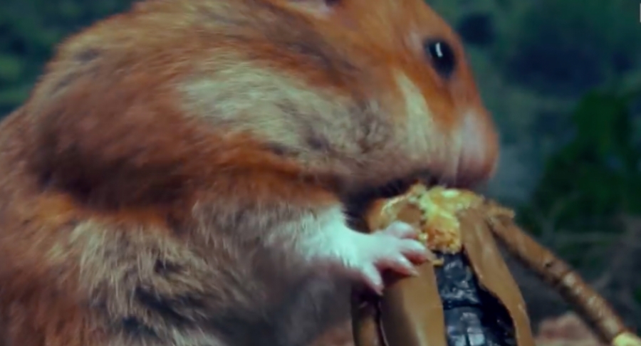 “The Hamster Revenant” 10 veces más brutal que la original
