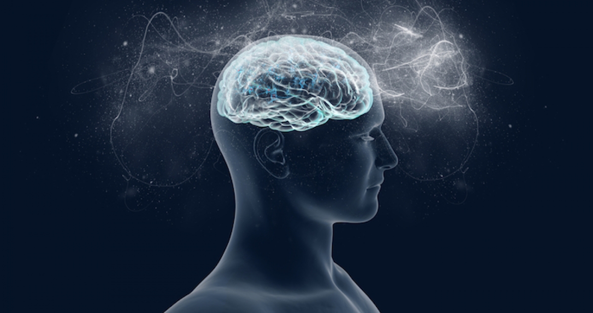 El éxito de aprender otro idioma depende de genética y medidas del cerebro: estudio